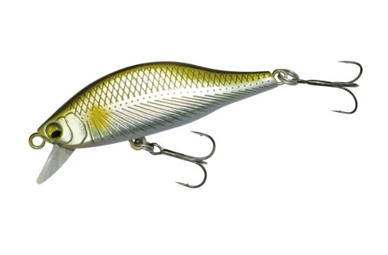 A2 Flat 45S - Image 6
