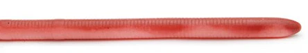 Adustraight Worm - Image 9
