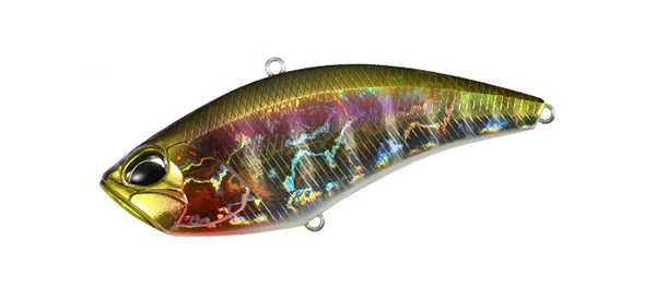 Apex Vibe 100 - Image 19