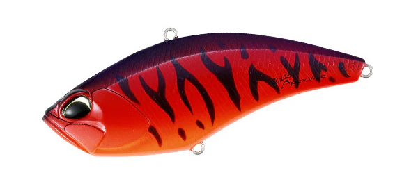 Apex Vibe 100 - Image 20