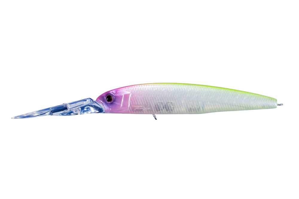 Asura EX-DR SF - Image 12
