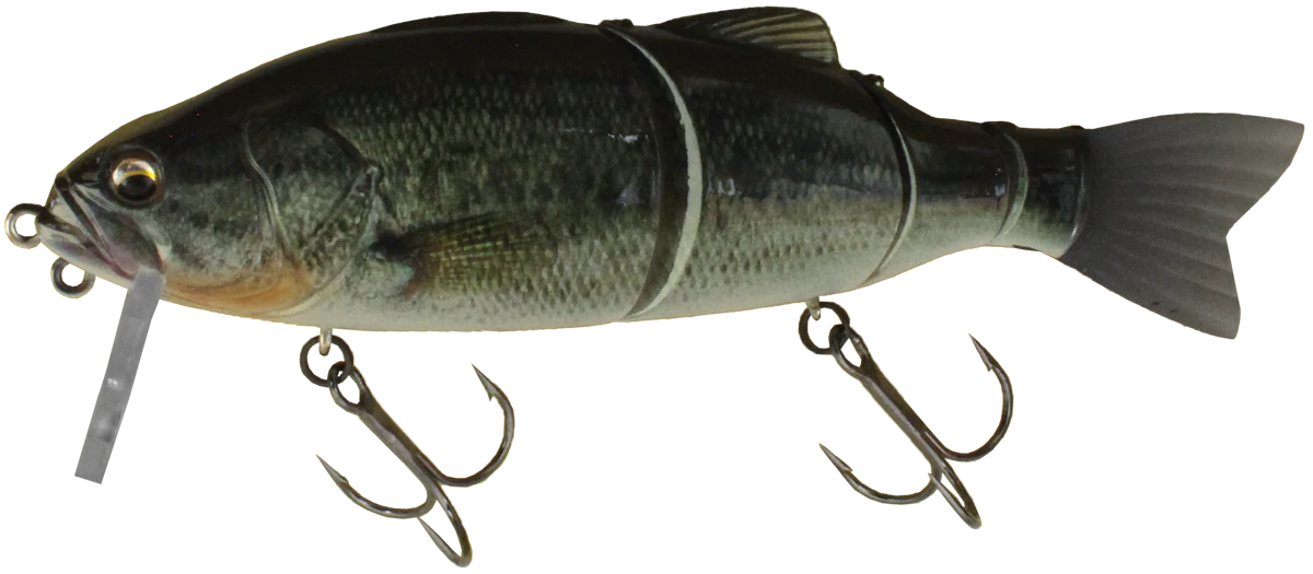 Baby Bassroid - Image 3