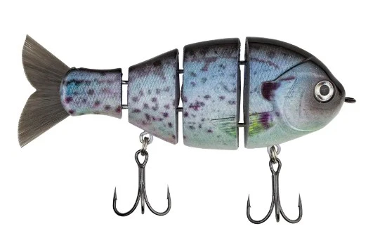 Baby Bull Gill - Image 2