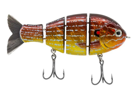 Baby Bull Gill - Image 3