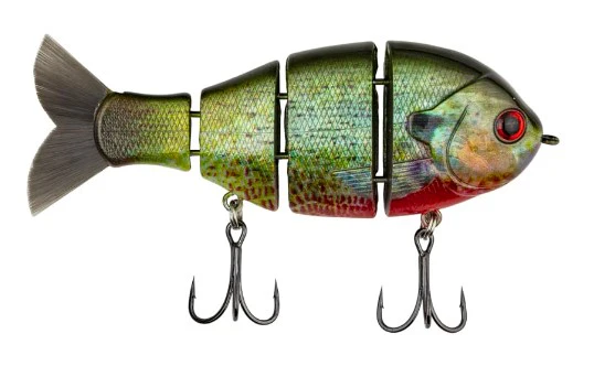 Baby Bull Gill - Image 5