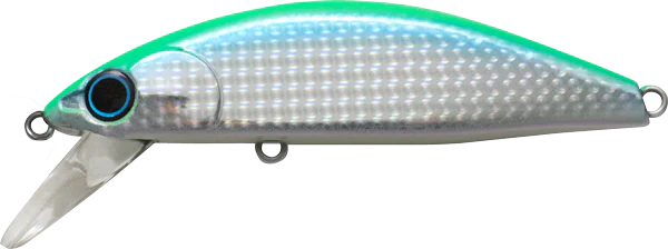 Basinguide Minnow - Image 2