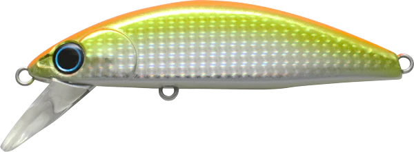 Basinguide Minnow - Image 7