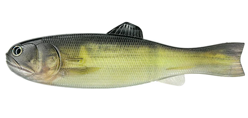 Bass Worm 145 - Image 4
