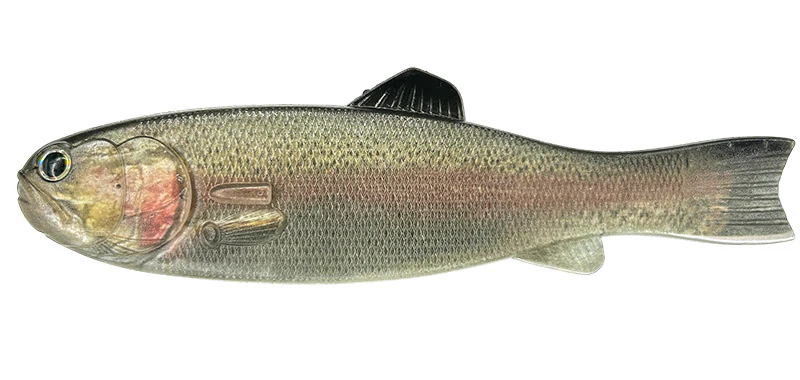 Bass Worm 145 - Image 5
