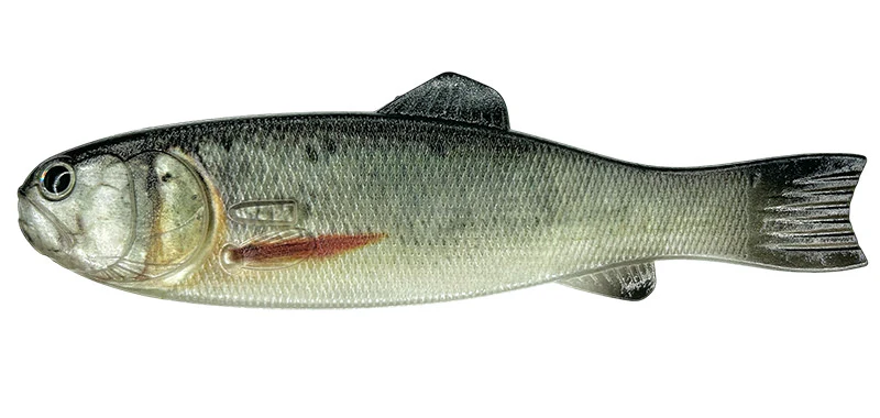 Bass Worm 145 - Image 6