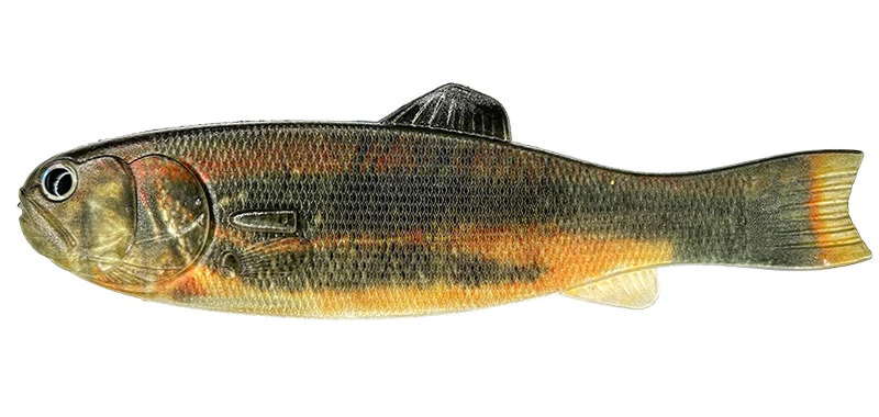Bass Worm 145 - Image 7