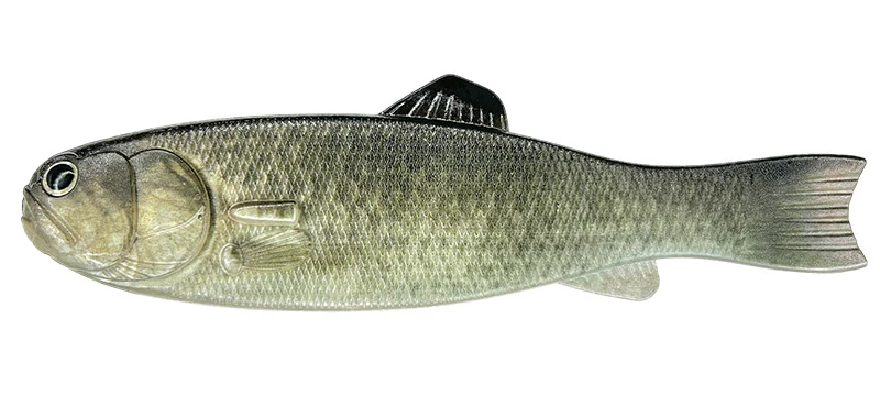 Bass Worm 145 - Image 8