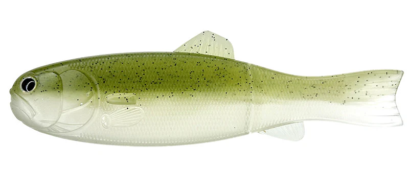 Bass Worm 145 - Image 9