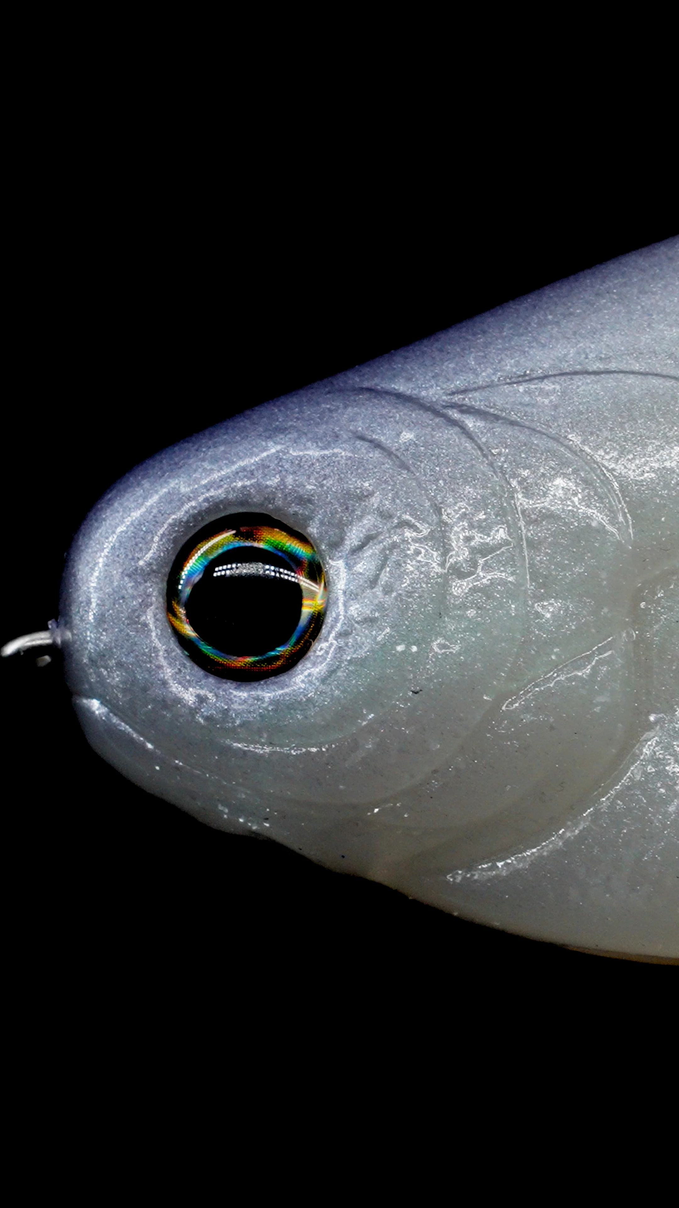 Battles Shad 9.0 - Image 4
