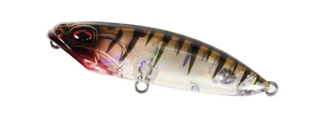 Bayruf Reprush 62F - Image 4