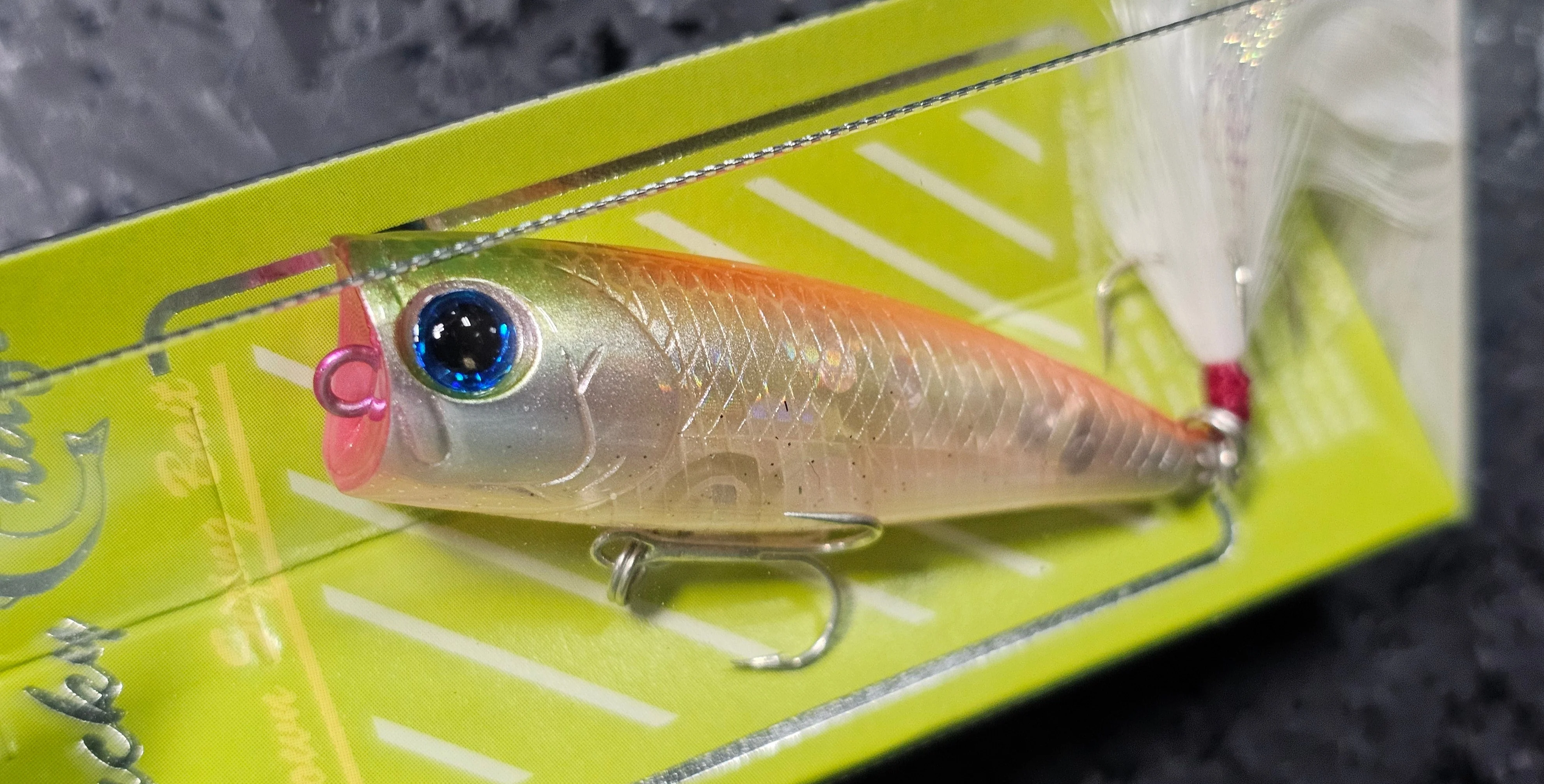 Bevy Popper 50