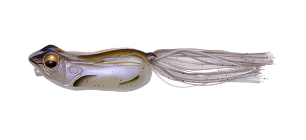 Big Gabot Frog - Image 7