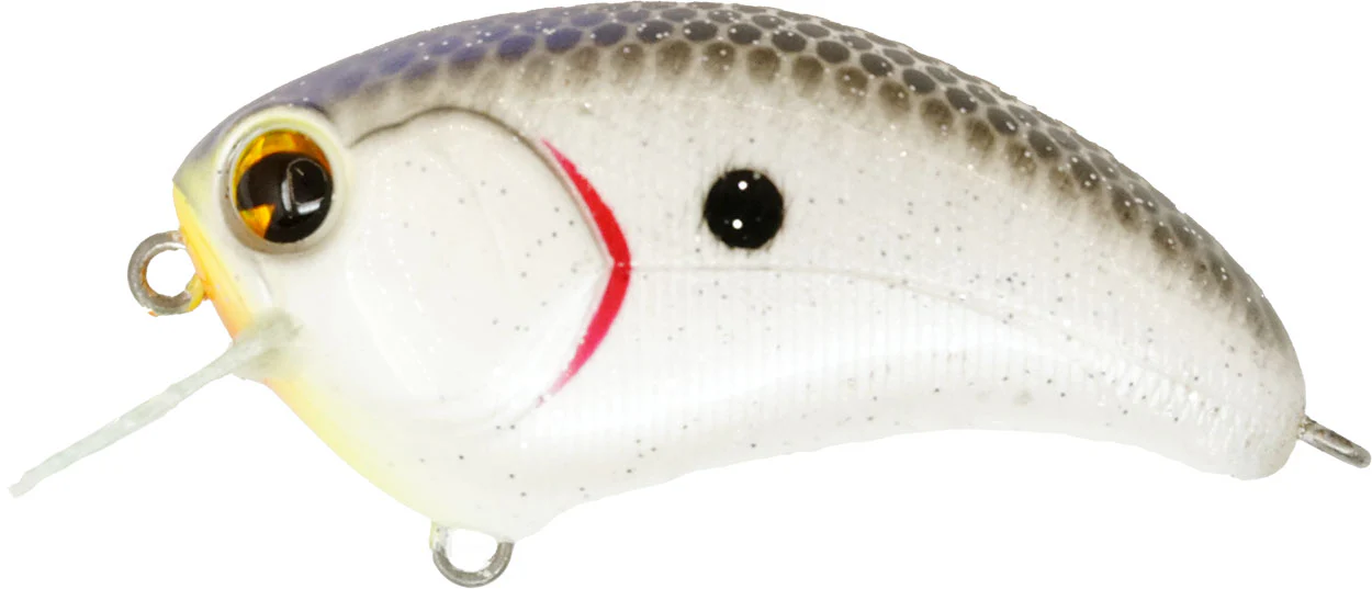 Bill Lowen Square Bill Crankbait - Image 13