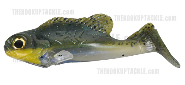 Bluegill - Image 2