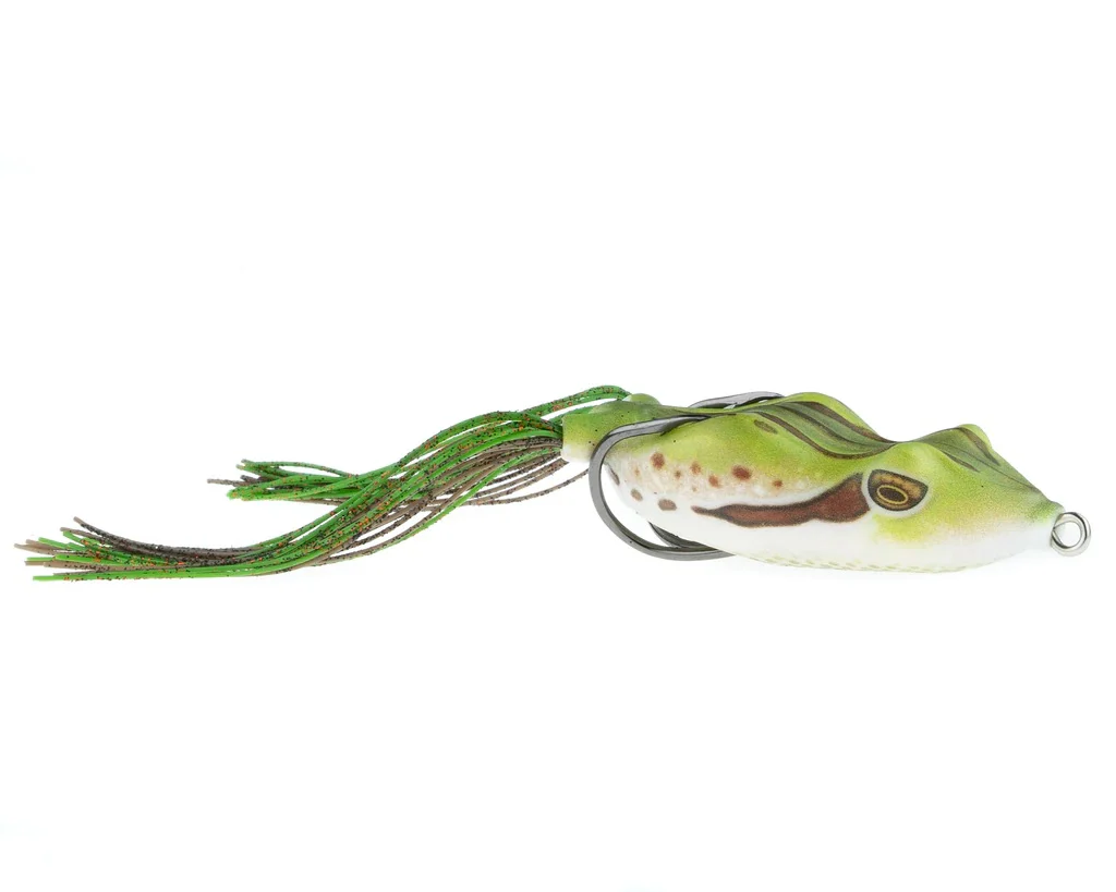Bobby's Perfect Frog - Image 12