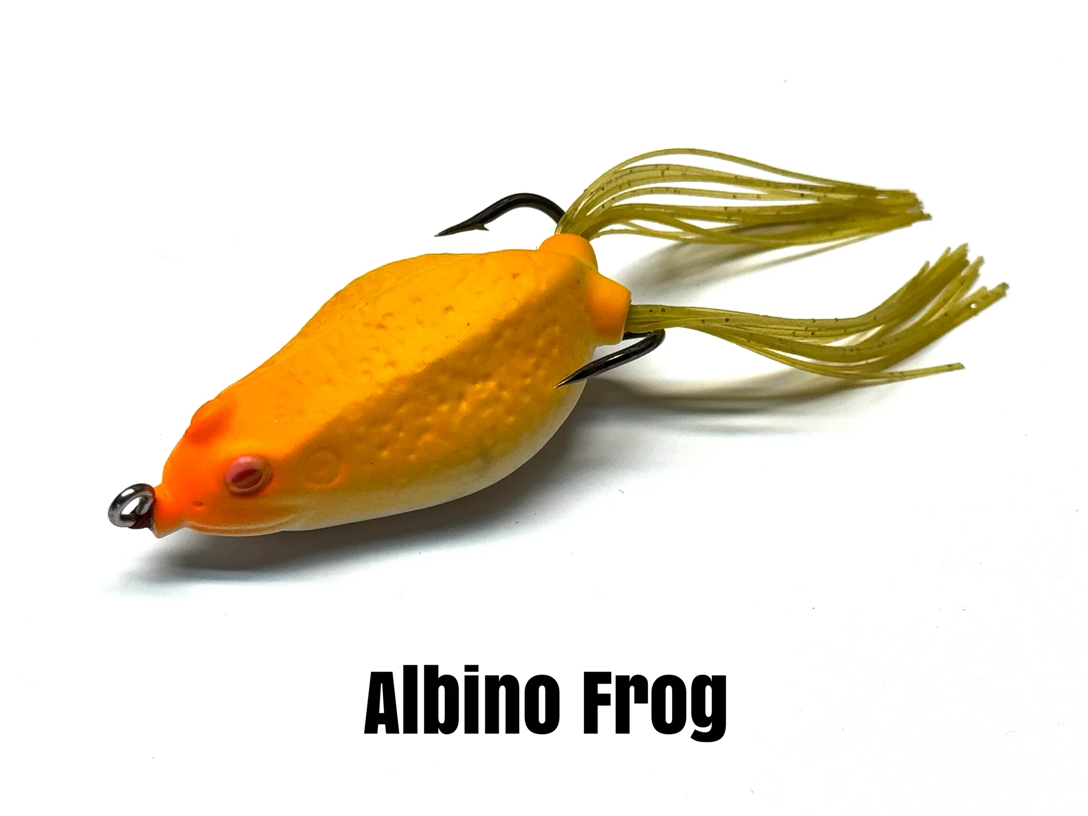 BQ Frog - Image 4