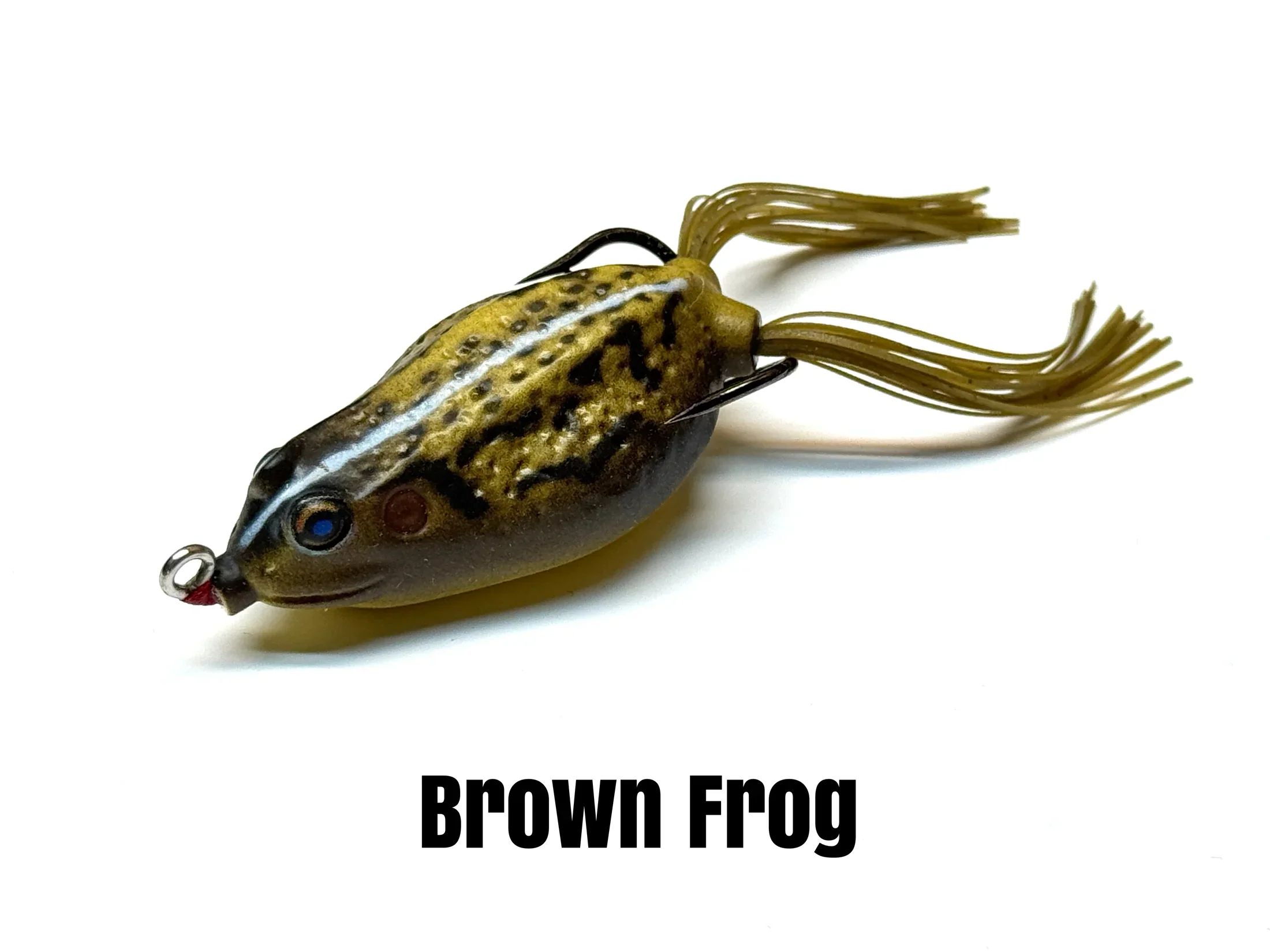 BQ Frog - Image 6