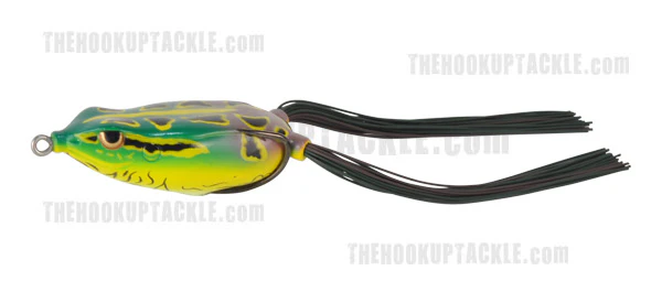 Bronzeye Frog - Image 12