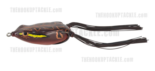 Bronzeye Frog - Image 13