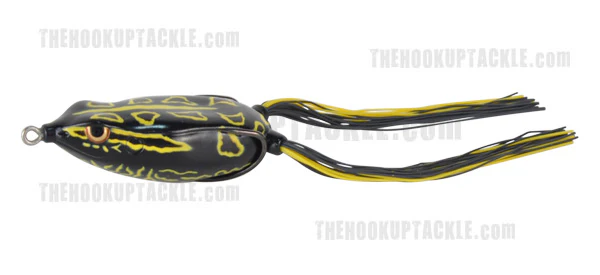 Bronzeye Frog - Image 15