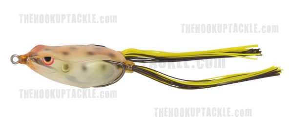 Bronzeye Frog - Image 17