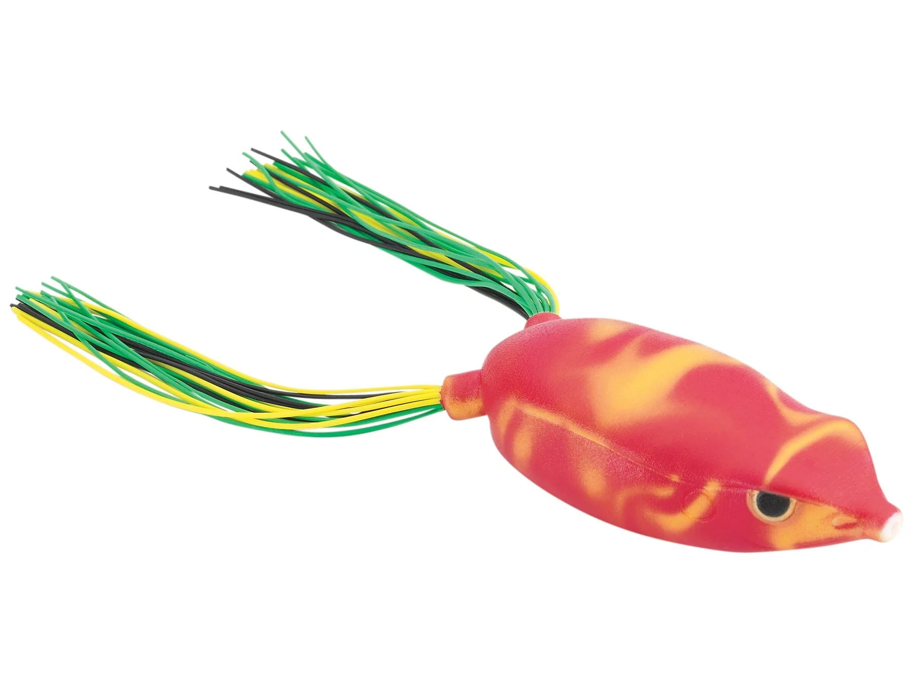 Bronzeye Frog - Image 19
