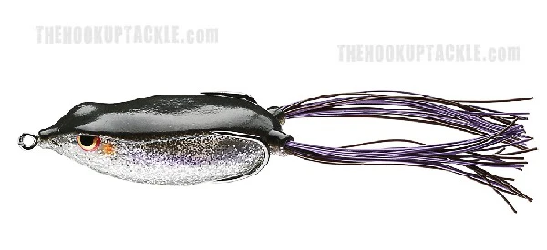 Bronzeye Frog - Image 2