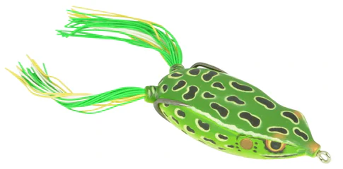 Bronzeye Frog - Image 22