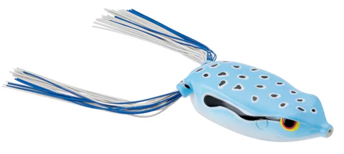 Bronzeye Frog - Image 27