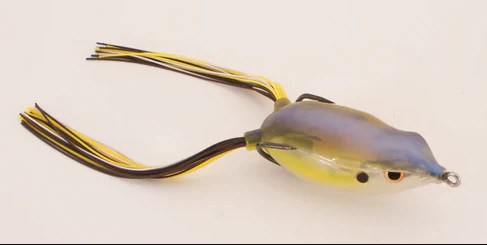 Bronzeye Frog - Image 29