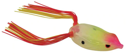 Bronzeye Frog - Image 31