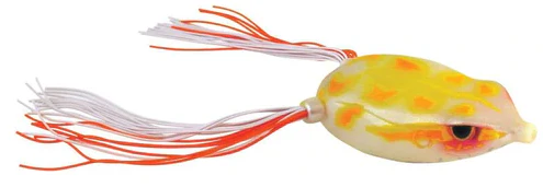 Bronzeye Frog - Image 38