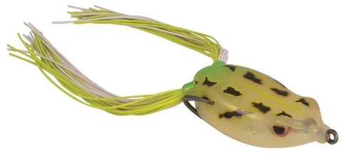 Bronzeye Frog - Image 42