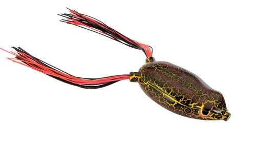 Bronzeye Frog - Image 47