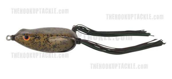 Bronzeye Frog - Image 5