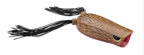Bronzeye Popper - Image 37