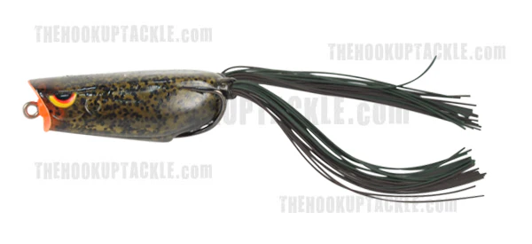 Bronzeye Popper - Image 8