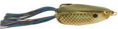 Bronzeye Shad - Image 10
