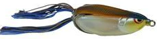 Bronzeye Shad - Image 14