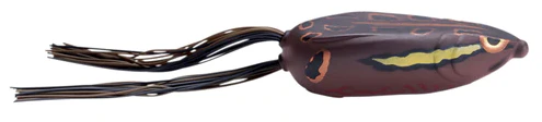 Bronzeye Shad - Image 7