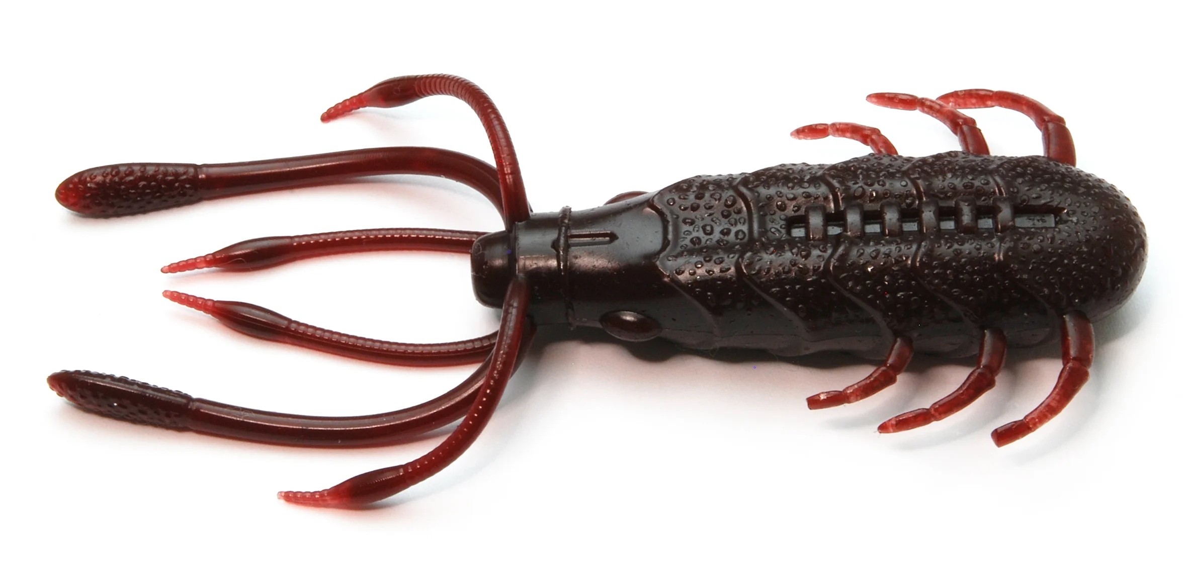 Bukkomi Craw