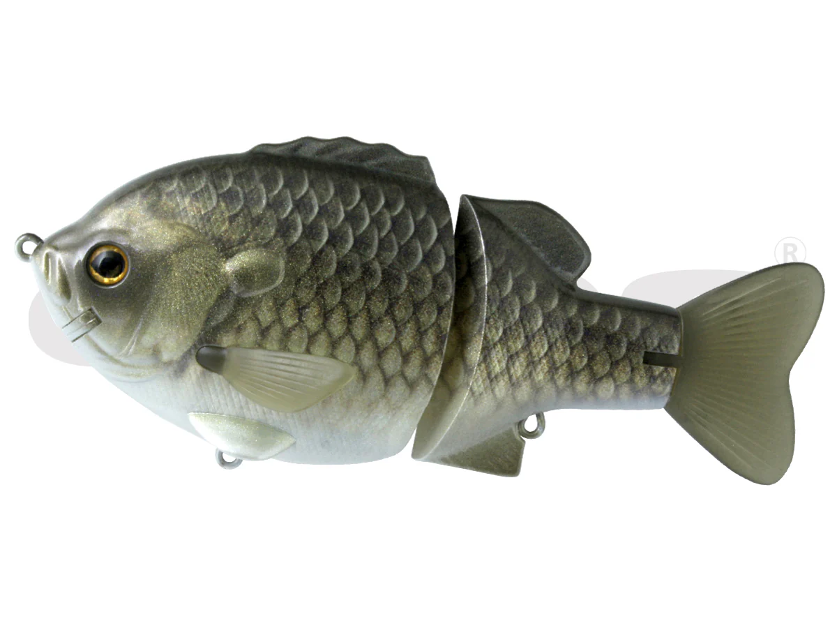 Bull Shooter 160 - Image 10