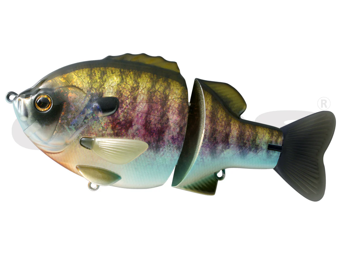 Bull Shooter 160 - Image 11