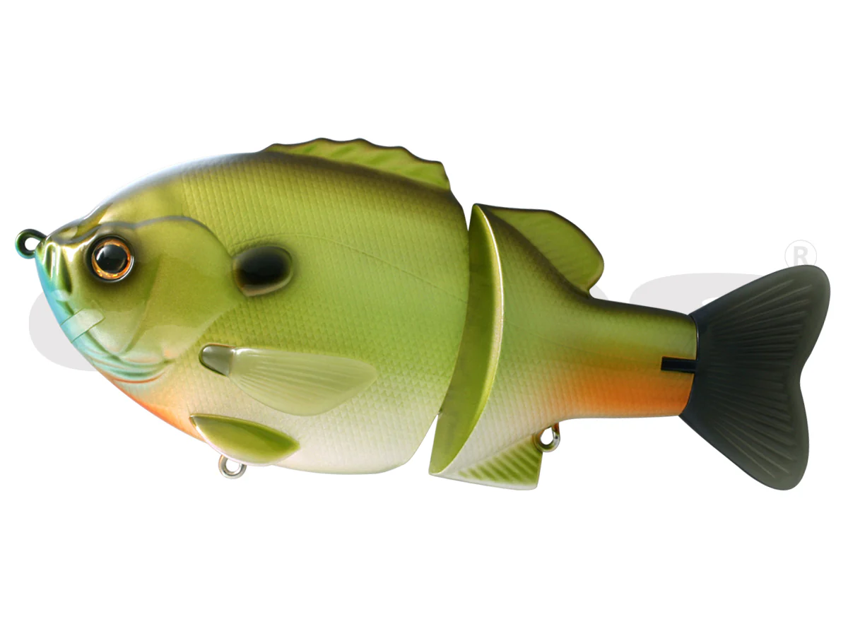 Bull Shooter 160 - Image 12
