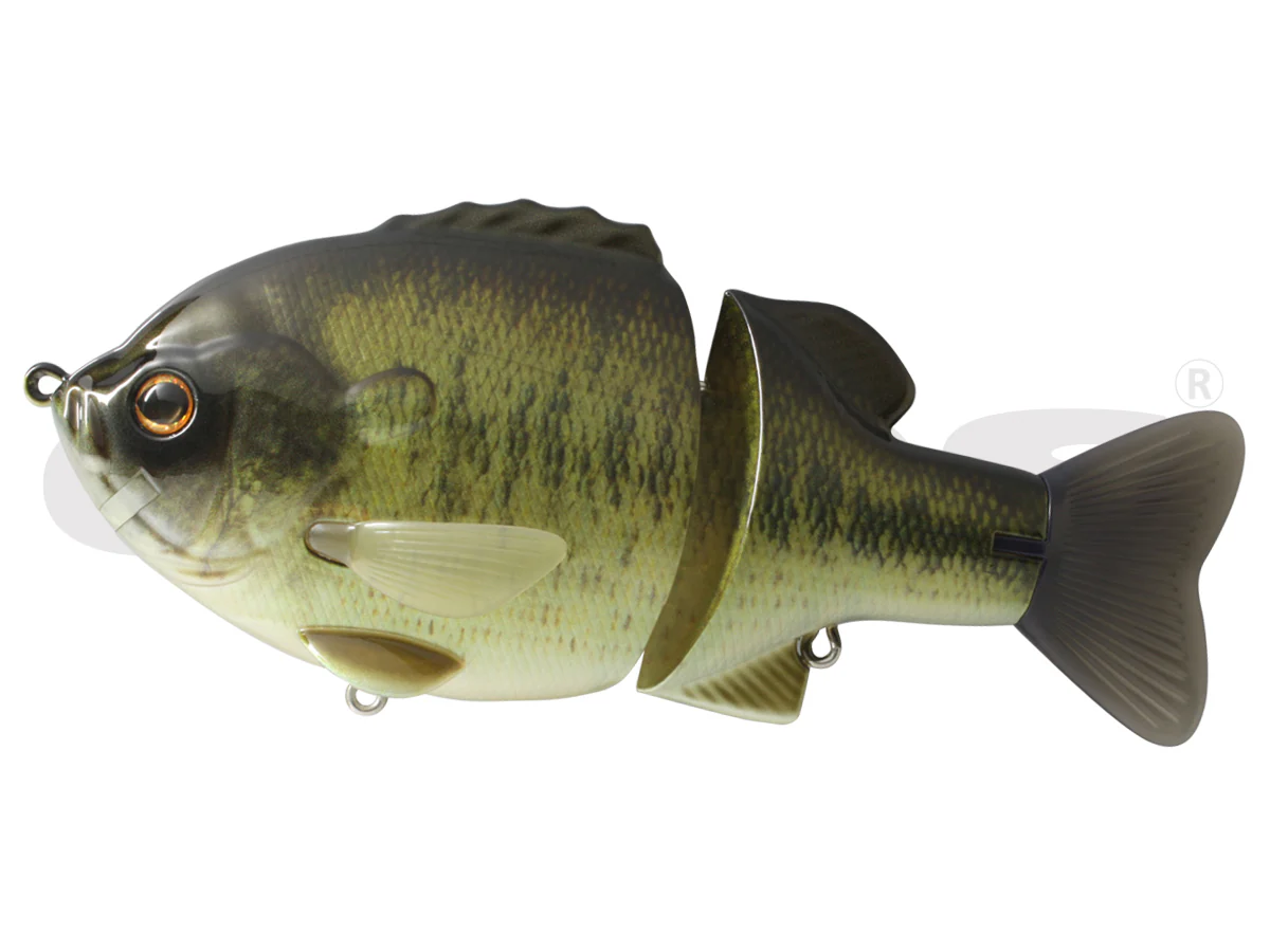 Bull Shooter 160 Floating - Image 10